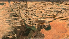 Delta interior del río Niger. Malí (03-03-2023)