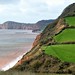 Salcombe Cliff, looking west to Sidmouth and Ladram Bay 1