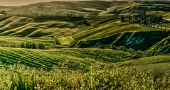 Tuscan Green Hills (On Explore)