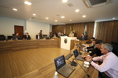 AUDIÊNCIA PÚBLICA DESAFIOS DO SETOR FLORESTAL