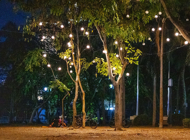trees and lights in Harbour Square at night<br/>© <a href="https://flickr.com/people/37837114@N00" target="_blank" rel="nofollow">37837114@N00</a> (<a href="https://flickr.com/photo.gne?id=52811664306" target="_blank" rel="nofollow">Flickr</a>)