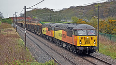 Class 56s on the Log Train