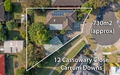 12 Cassowary Close, Carrum Downs VIC