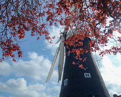 Holgate Windmill, York