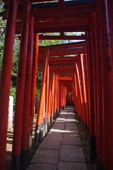 Nezu Shrine Torii Gates, Tokyo, Japan (In Explore)