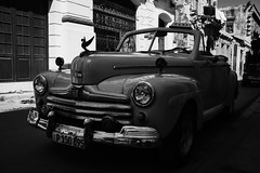 Habana Streets 254