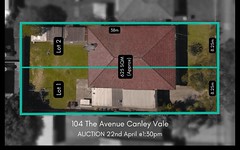 104 The Avenue, Canley Vale NSW