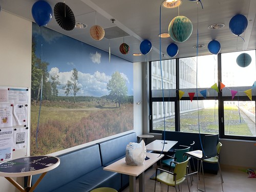 Heliumballonnen Intensive Care voor volwassenen Erasmus MC Rotterdam