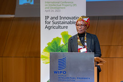 International Conference on Intellectual Property (IP) and Development – Panel on Cultivation and Harvesting – Producing the Crop