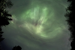 Aurora Borealis Overhead in Michigan
