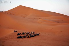 Descanso en el desierto - Marruecos