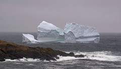iceberg in ferryland
