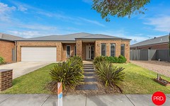 81 Greenfield Drive, Epsom Vic
