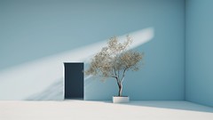 A door. A wall. A tree