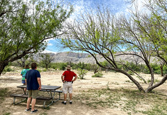 Cottonwood Campground in Big Bend National Park, Texas