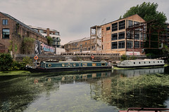 The Lily Pad - Swan Wharf, Lea River, London