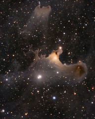 The Ghost Nebula (vdB 141)