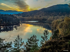 Contrasting hues of Pine, Larch and Birch as the sun sets over Loch Beinn a' Mheadhoin, Glen Affric.