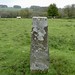 Skulls information pillar by General Pitt-Rivers's excavations, Rotherley Down