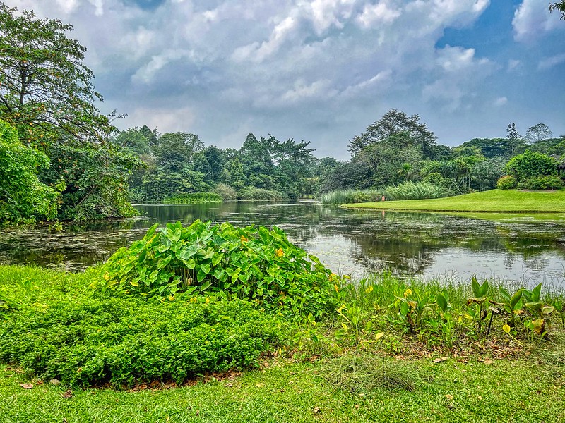 Singapore Botanic Gardens Eco Lake<br/>© <a href="https://flickr.com/people/8136604@N05" target="_blank" rel="nofollow">8136604@N05</a> (<a href="https://flickr.com/photo.gne?id=52873680934" target="_blank" rel="nofollow">Flickr</a>)