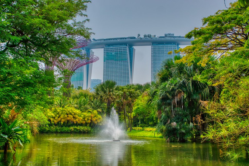 Water Lily Pond with fountain and Marina Bay Sands in the Gardens by the Bay in Singapore<br/>© <a href="https://flickr.com/people/8136604@N05" target="_blank" rel="nofollow">8136604@N05</a> (<a href="https://flickr.com/photo.gne?id=52875463442" target="_blank" rel="nofollow">Flickr</a>)