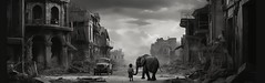 Après la guerre, seuls restèrent un éléphant et une petite fille