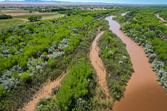 Rio Grande near Storey NM; 4000cfs