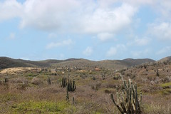 CuraçaoLandscape2