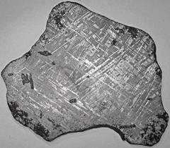 Octahedrite (Gibeon Meteorite) 20