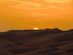 secret tales from the desert 🎧