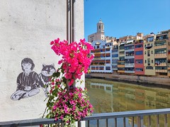 Girona, Temps de Flors.