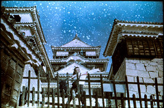 Ayaka and Matsuyama castle