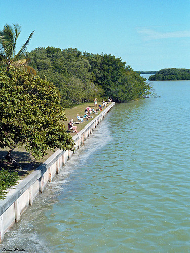 People Fishing at Seawall, Flamingo, Everglades National Park