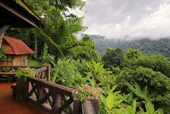 Low hanging clouds adorn the majestic mountain view from the Doi Phu Kai park  bungalow