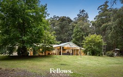 2825 Gembrook-Launching Place Road, Gembrook VIC