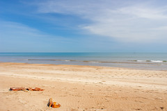 Casaurina Beach