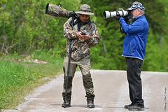 Canon Guys on Wiley Road