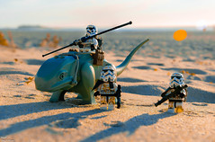 Sandtrooper patrol