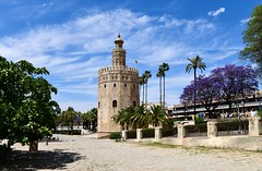 Torre del Oro (Tower of Gold)_Sevilla_Spain_0690
