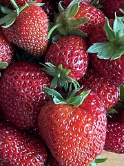 IMG_3912_Freshly picked, home-grown strawberries