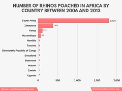 Number Of Rhinos Poached In Africa By Country Between 2006 And 2013