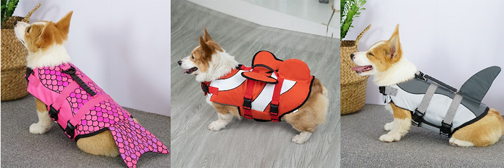 【新聞照片10】專為寵物設計的游泳救生衣讓毛小孩輕鬆享受玩水樂趣。