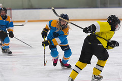 2023-03-07-blues-hockey-(marias-photos)--elliot-negelev--0003
