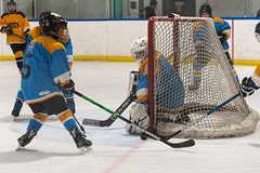 2023-03-04-blues-hockey-(marias-photos)--elliot-negelev--0030