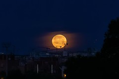 The moon...