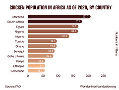 Chicken Population In Africa As Of 2020, By Country