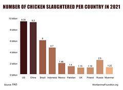 Number Of Chicken Slaughtered Per Country In 2021