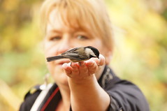 A bird in the hand is worth two in the bush