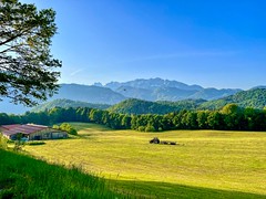 Field in spring with mountain landscape near Kiefersfelden in Bavaria, Germany
