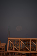 Strawberry Moon: Full Moon in June 2023